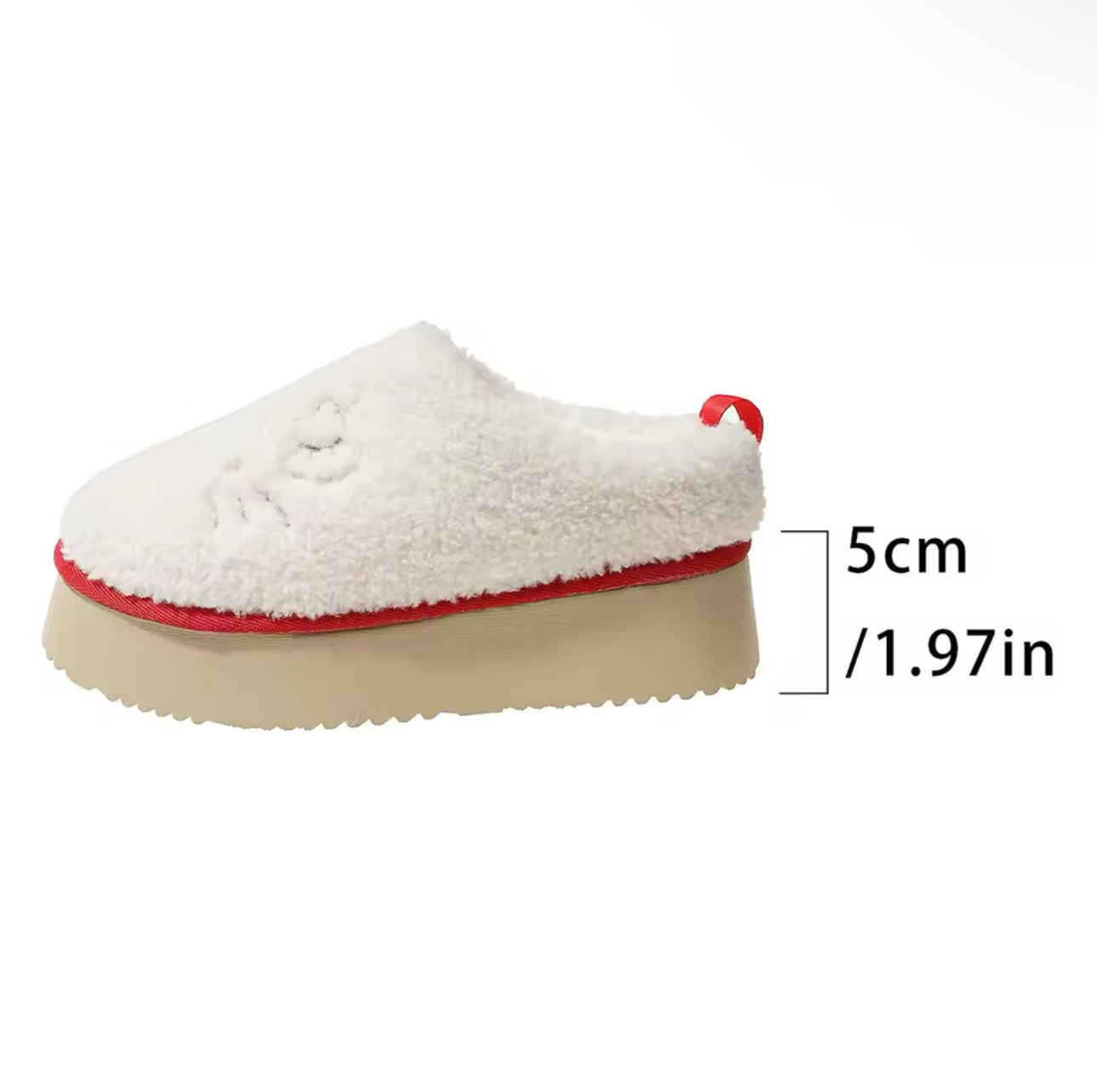 HK Platform Slides