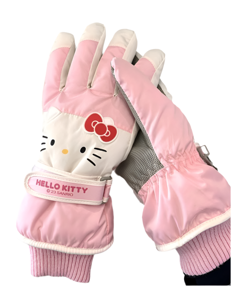 HK gloves(2)