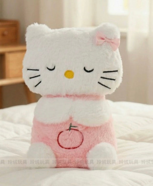 Hk hot water bottle